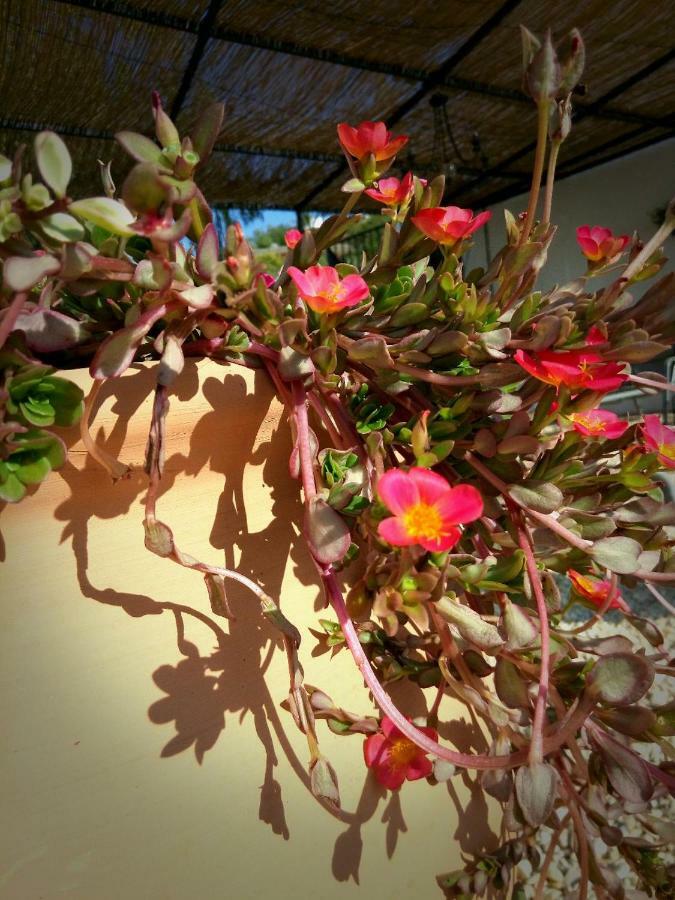 ホテル Casa Colina Comares エクステリア 写真